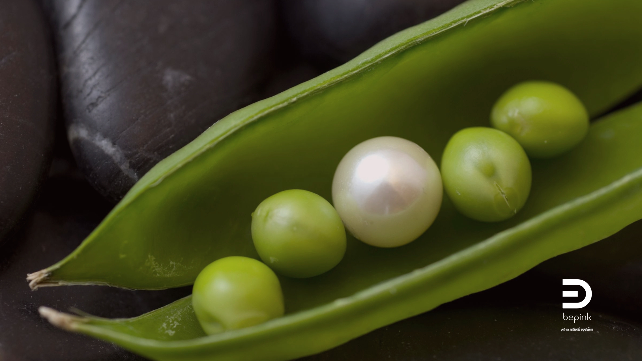 Pink per orientarsi. Punk per trasformare